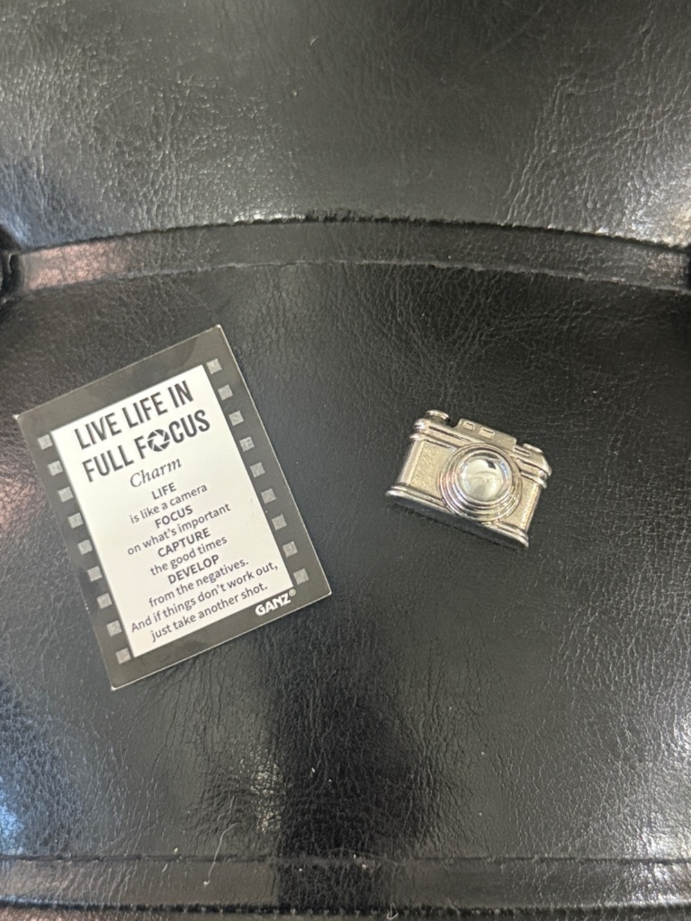 New Ganz Tiny Little Camera Pocket Token Charm & Lucky Inspiration Card